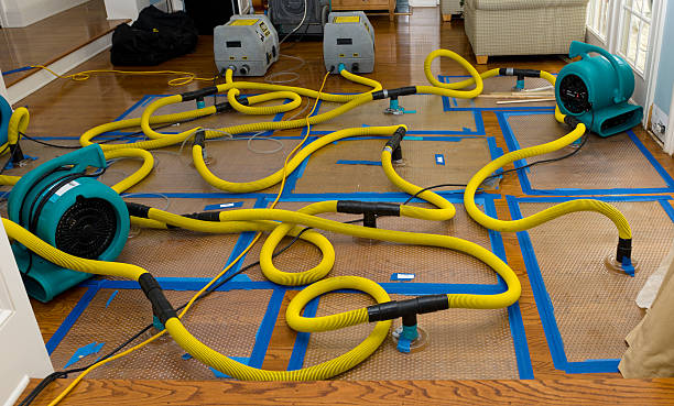 Professional Water Damage Restoration technician working in Maple Grove, MN